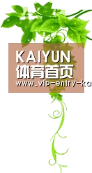开云体育官方网站 - KAIYUN赛事数据与官方入口 - 安全访问